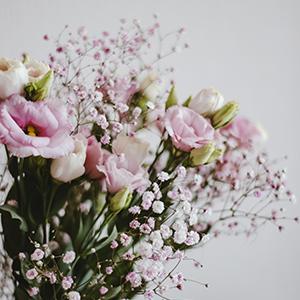 Perky Blooms