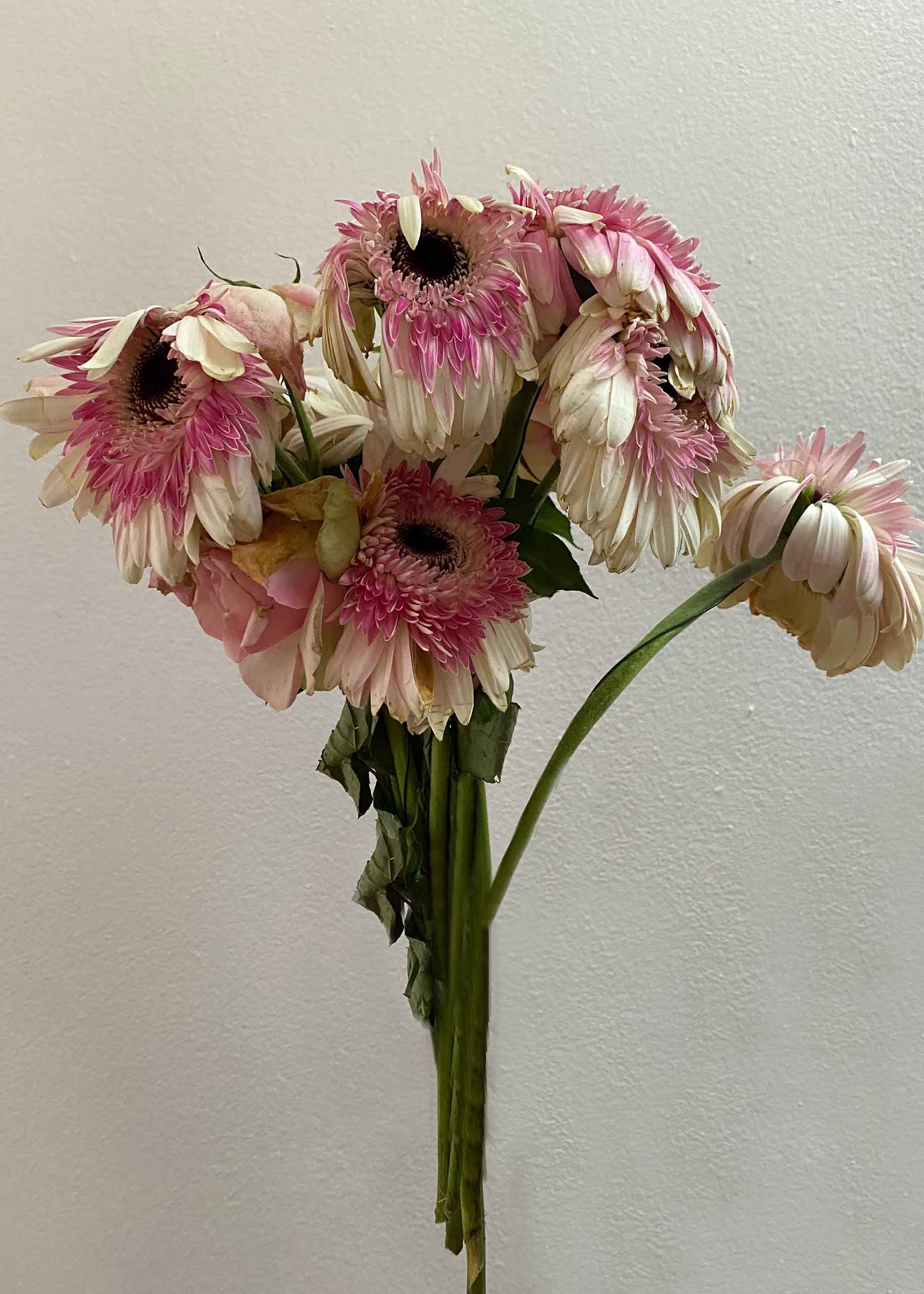flower_subscription_unsplash