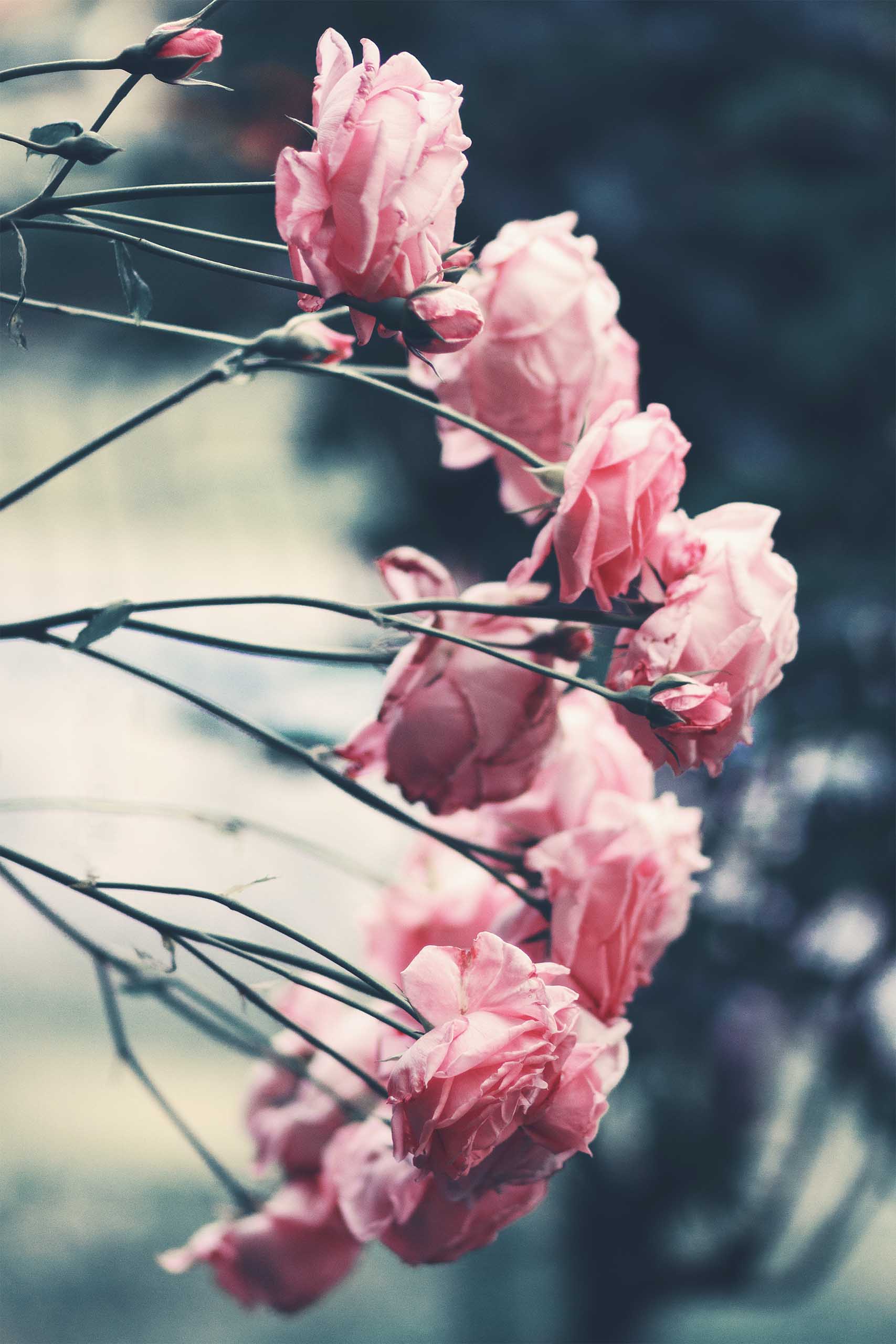 weddings_&_events_unsplash